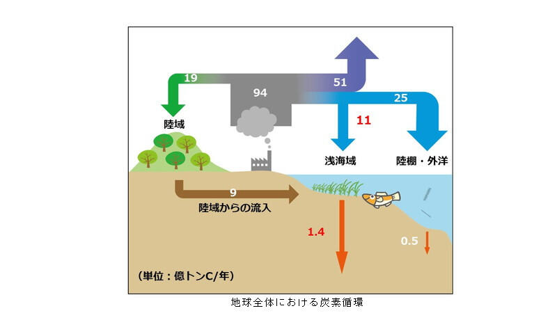 （資料:Kuwae,T.and Crooks,S.:Linking climate change mitigation and adaptation through coastal green-gray infrastructure: a perspective.Coastal Engineering Journal,63,188-199,2021. https://www.tandfonline.com/doi/full/10.1080/21664250.2021.1935581）