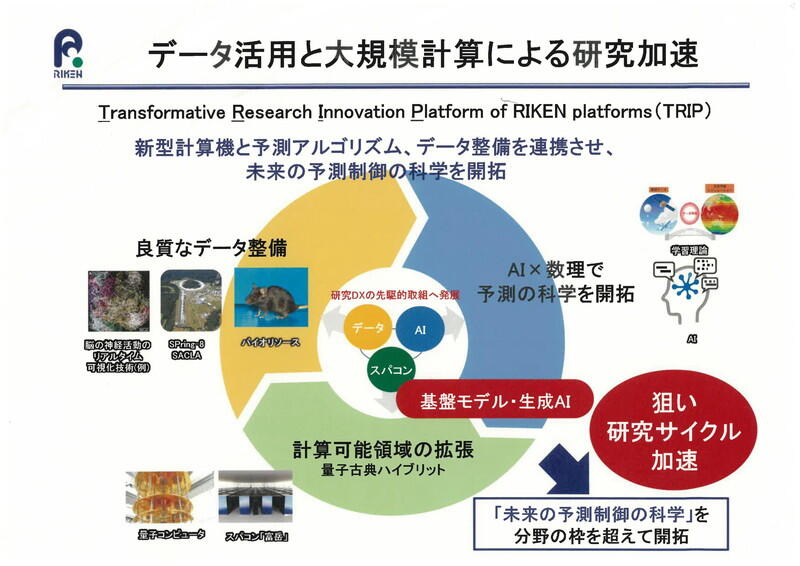 （資料：理化学研究所）